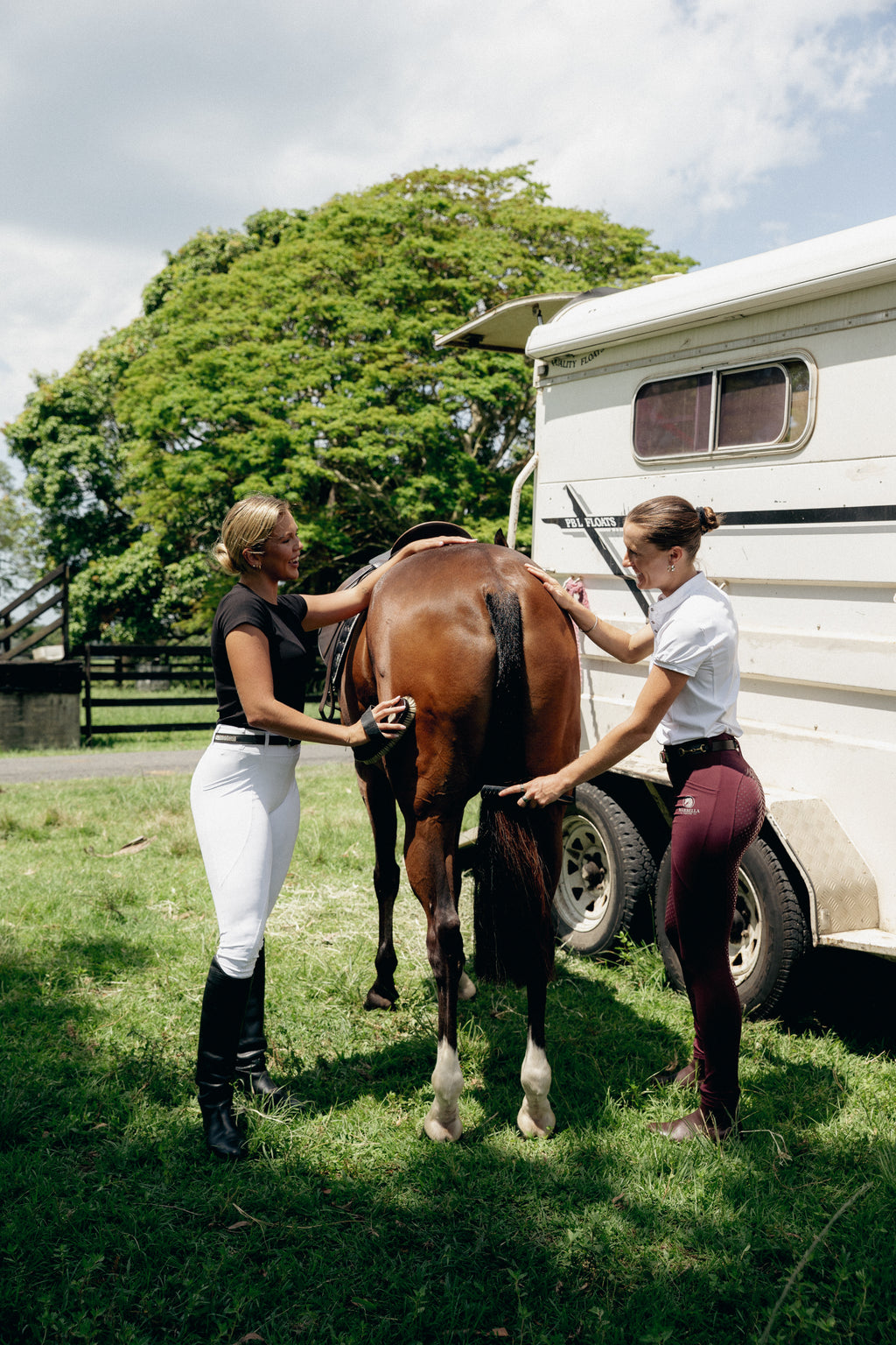Maroon - Orlanda Breeches